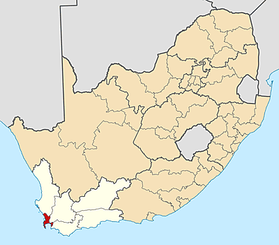 Service - Call Out Fee - Cape